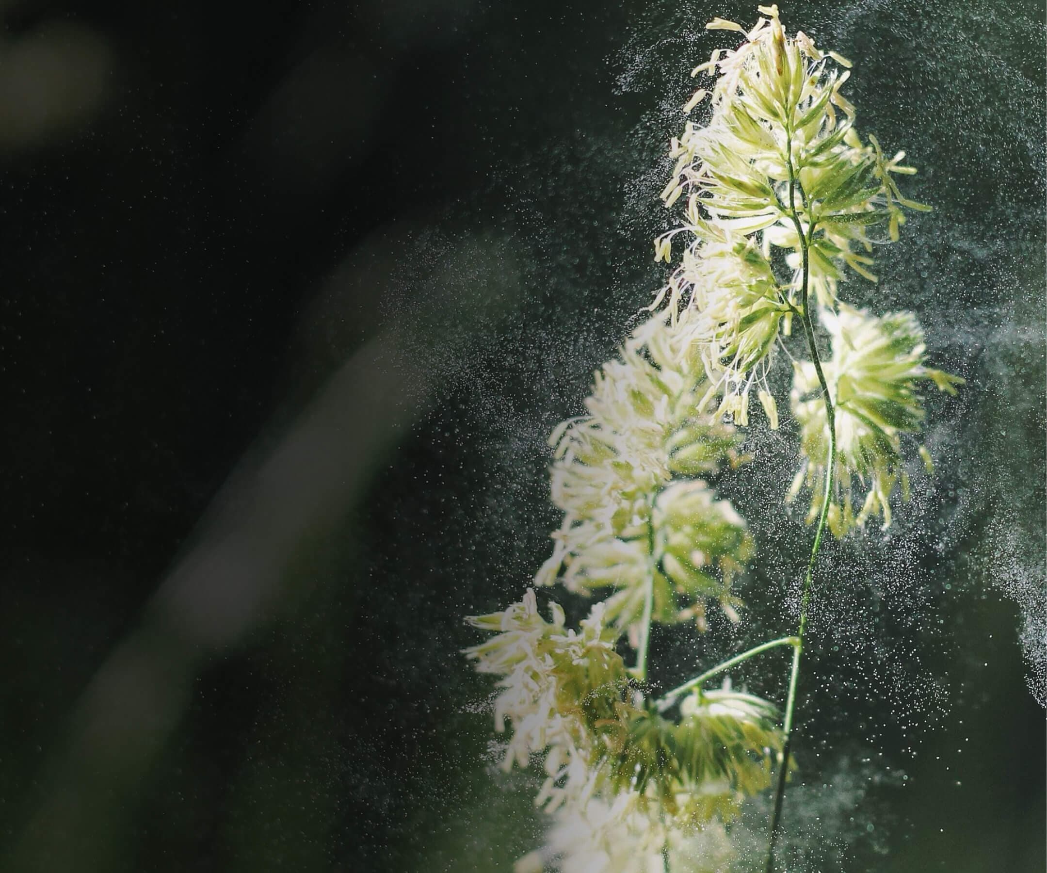 Filtered room air provides relief from allergic reactions due to pollen, microorganisms and hay fever.